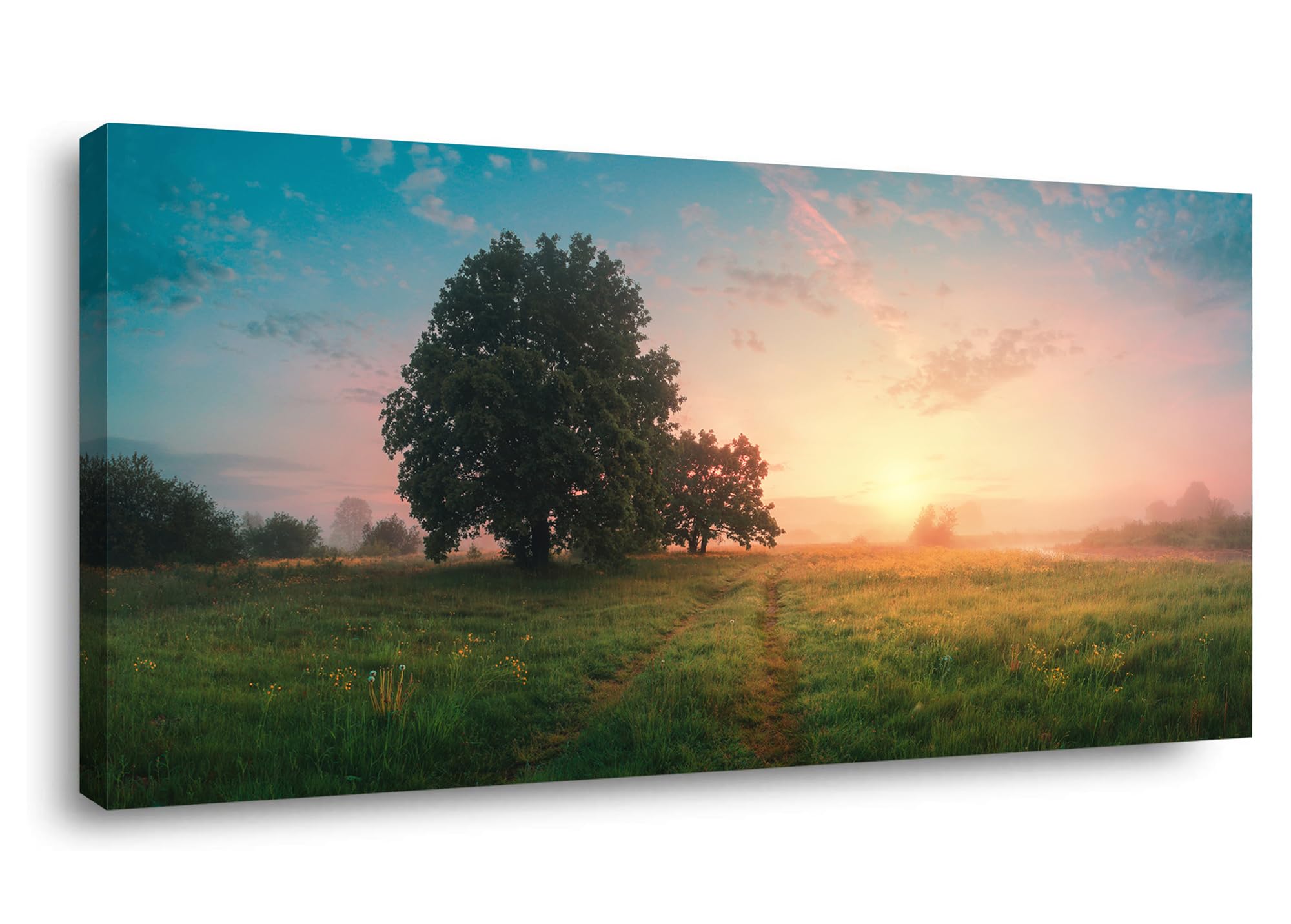 Lasdel Stretched Canvas Wall Art of White Flowers Plant Picture for Living Room Bedroom Home Decoration, Beautiful White and Red Premium Nature Print Artwork Painting Decor, Inner Frame 23x46 Inches