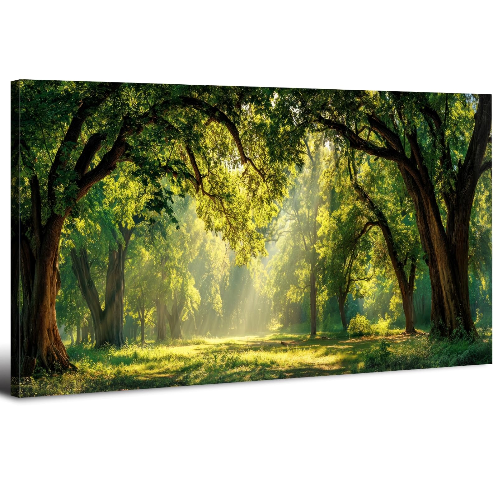Sunset Mountain Wall Art for Living Room Nature Grand Teton Landscape Canvas Wall Decor National Park Wall Art Oxbow Bend Snake River Scenery Wyoming Painting Artwork Office Home Decoration 20x40"